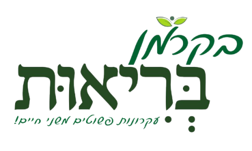 צילום_מסך_2024-09-09_163510-removebg-preview